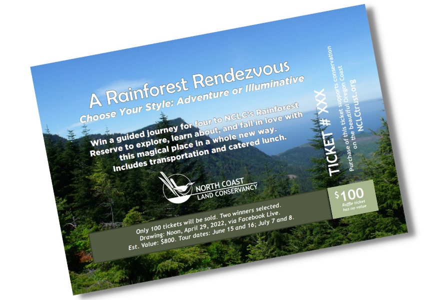 Land Raffles A Rainforest Rendezvous: NCLC Raffle 2022 - North Coast Land Conservancy
